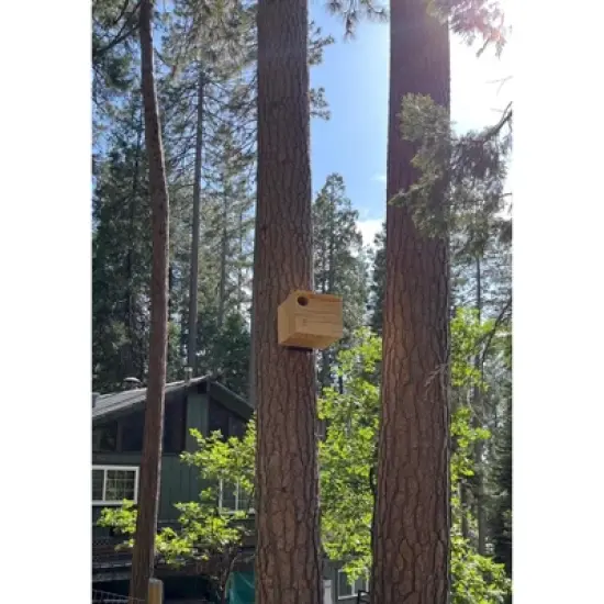 JCs Wildlife Barn Owl Nesting Box Large House Crafted in USA - Exterior Grade Treated Plywood - Mounting Hardware and Pine Shavings Included - image {9}