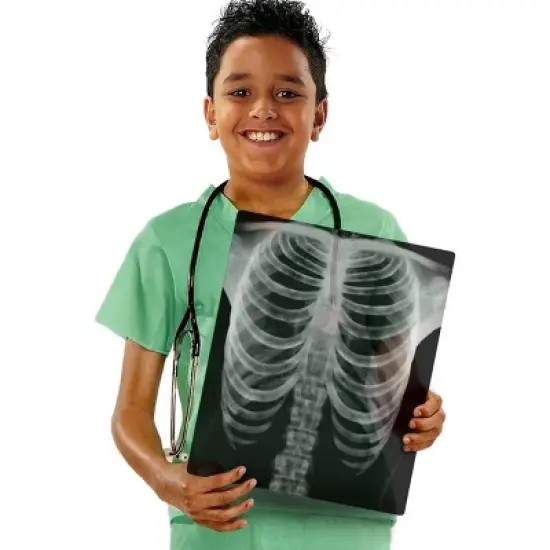 Royclo Human X-Rays on Film - 18 Pieces image {2}