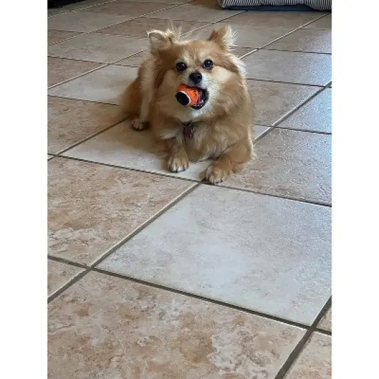 Midlee Orange/Black Mini Dog Halloween Tennis Balls- Set of 12 image {2}