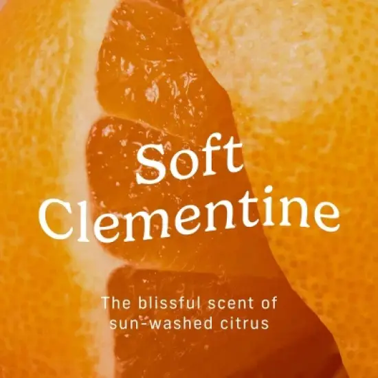 Niches & Nooks Intimate pH Balanced Gentle Feminine Wash - Soft Clementine - 7 fl oz image {4}