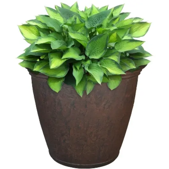 Sunnydaze Indoor/Outdoor Patio, Garden, or Porch Weather-Resistant Double-Walled Anjelica Flower Pot Planter - 16" - Rust Finish image {4}