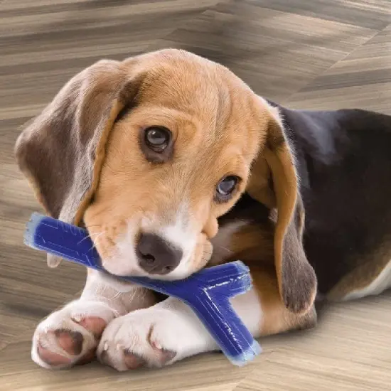NERF Peanut Butter Super Scent Stick Solid Core Dog Toy - 10" image {5}