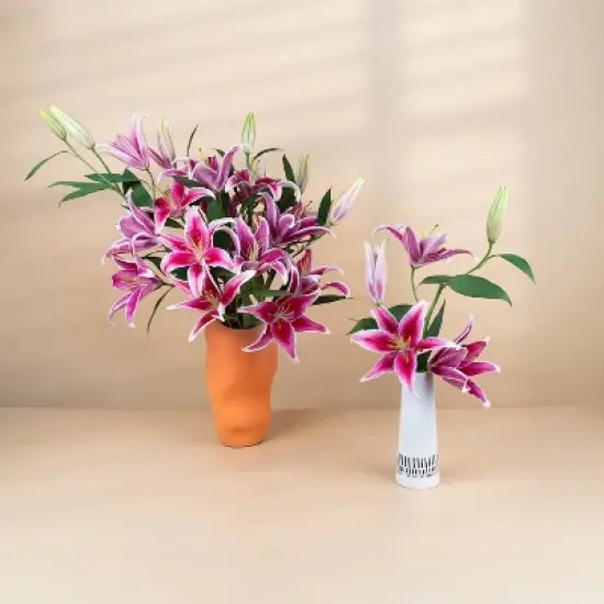 Fresh Cut Oriental Lily Flowers - 30 Stems image {2}