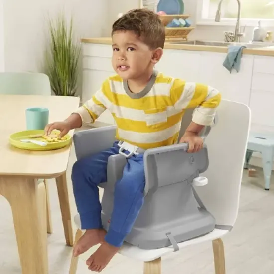 Fisher-Price SpaceSaver Simple Clean High Chair - Rainbow Showers image {3}