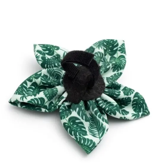 The Worthy Dog Tropical Leaves Flower Accessory image {1}