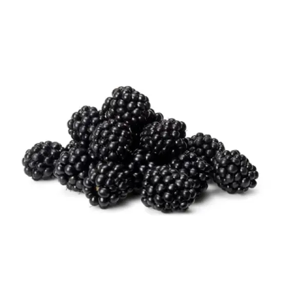 Fresh Organic Blackberries - 6oz image {6}