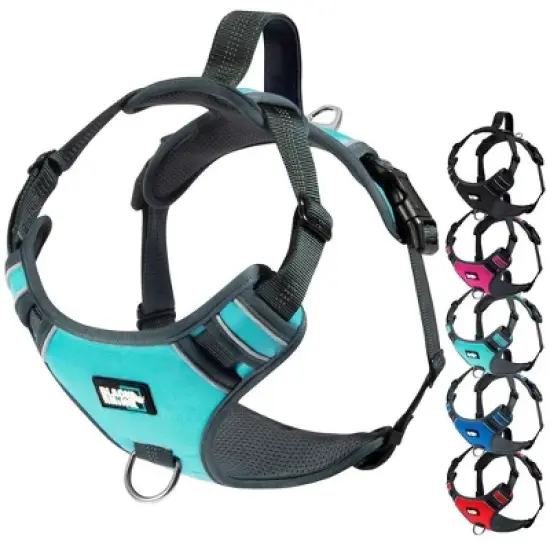 Black Rhino Adjustable Dog Harness with Mesh Padded Ves, Medium, Blue image {4}