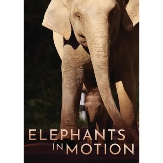 Elephants In Motion (DVD)(2015) image {2}