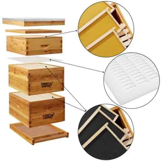 Honey Keeper Beehive 10 Frame 100% Beeswax Coated Box Kit with Wooden Frames and Waxed Foundations image {2}