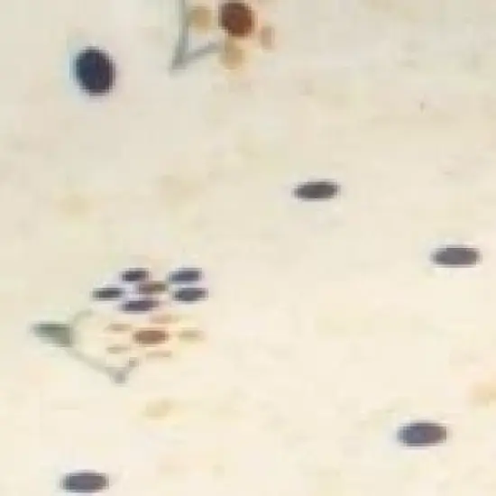 Blue Rose Polish Pottery 1282 Zaklady Bread Tray image {2}