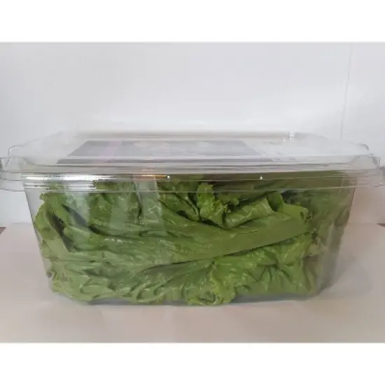 Washed & Trimmed Green Leaf Lettuce - 7oz image {2}