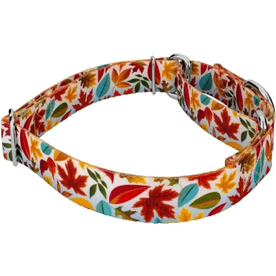 Country Brook Petz Brisk Autumn Martingale Dog Collar image {2}