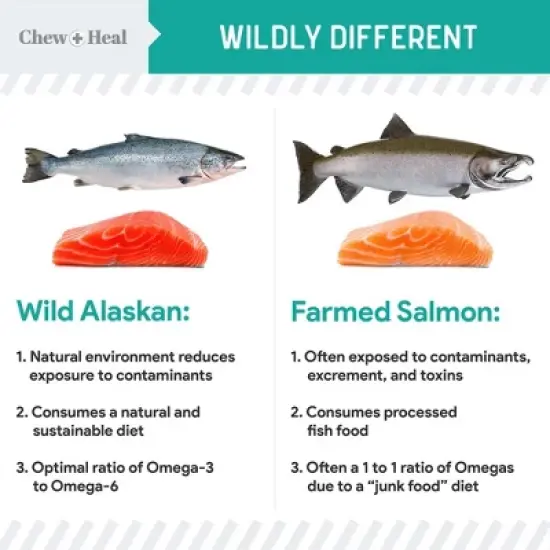 Chew + Heal Wild-Caught Alaskan Salmon Probiotic Soft Jerky Treats for Dogs, Natural Source of EPA & DHA, Promotes Intestinal Well-Being - 12oz image {3}