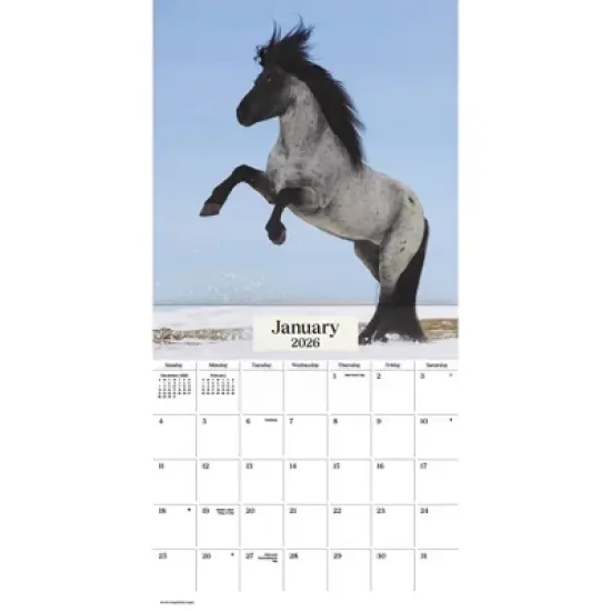 Trends International 2026 Horses 12"x12" Wall Calendar image {1}