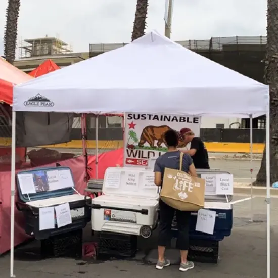 EAGLE PEAK 10 x 10ft Heavy Duty Commercial Pop Up Canopy Industrial Tent image {8}