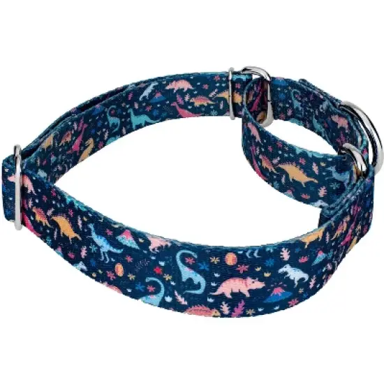 Country Brook Petz Dinosaurs Martingale Dog Collar and Leash image {3}