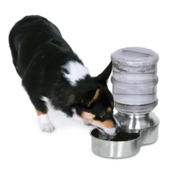 Petmate Replendish Stainless Steel Waterer image {1}