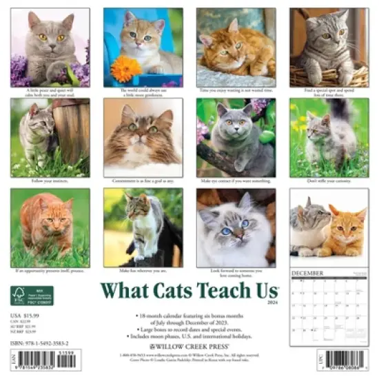 Willow Creek Press 2024 Wall Calendar 12"x12" What Cats Teach Us image {1}