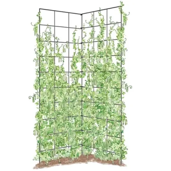 Two Panel Folding Trellis image {1}