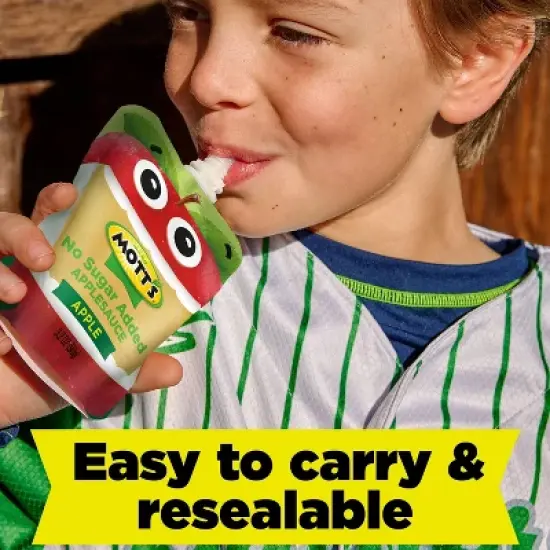 Mott's Unsweetened Pouches - 38.4oz/12ct image {4}