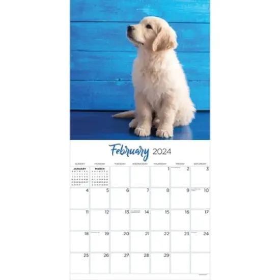 TF Publishing 2024 Wall Calendar 12"x12" Golden Retrievers image {1}