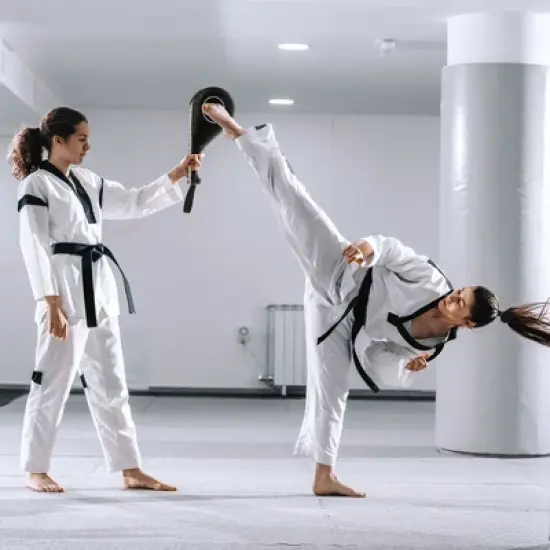 Juvale 2-Pack Taekwondo Kick Pad, Black Karate Kicking Target, Durable Striking Pads for Kickboxing Training, TKD Pads, 15 x 2.5 x 7.5 In image {1}