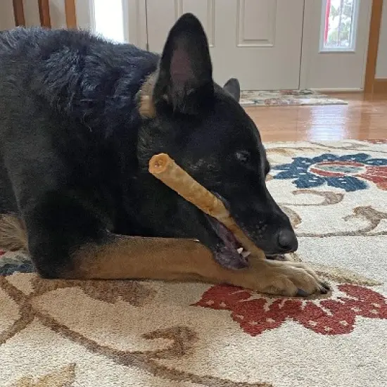 Fieldcrest Farms Nothing to Hide Large Rolls Salmon Flavor Chew Dog Treat - 10" (2 Pack) image {1}