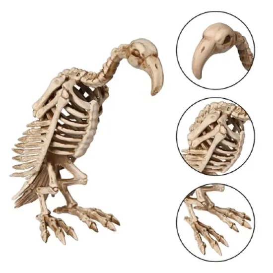 Yescom 5.4 Ft Life Size Cowboy Skeleton with Vulture & Owl Skeleton Halloween Decorations Party 2025 Brown image {5}