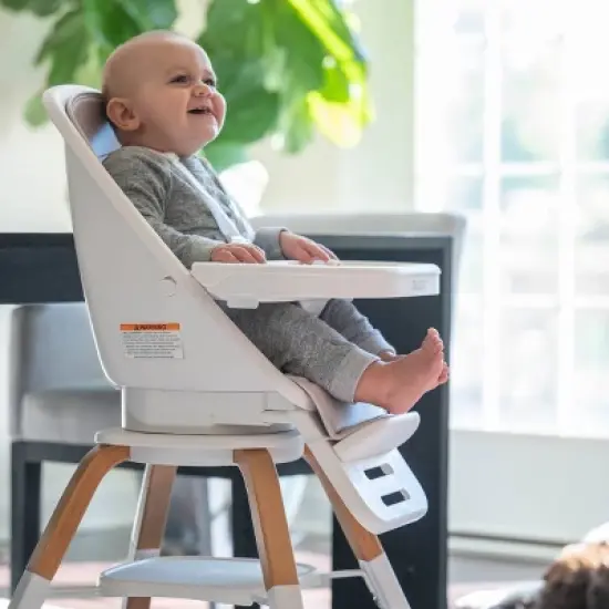 TruBliss 2-in-1 Turn-A-Tot High Chair with 360&deg; Swivel  image {1}