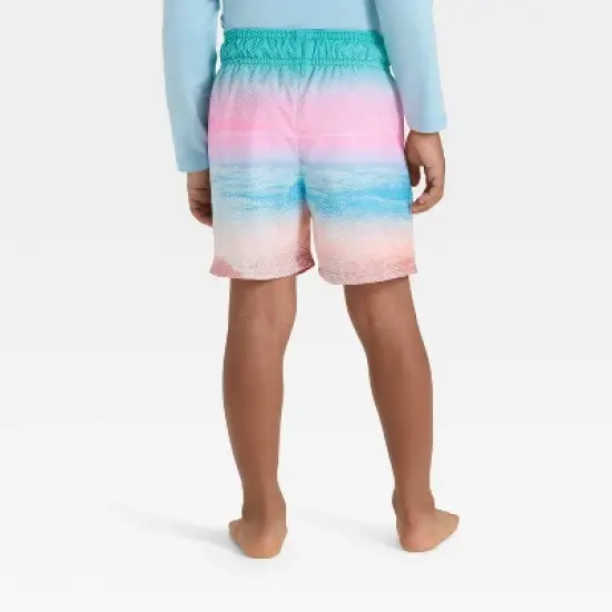 Toddler Boys' Scenic Beach Swim Shorts - Cat & Jack&trade; Pink/Blue image {1}