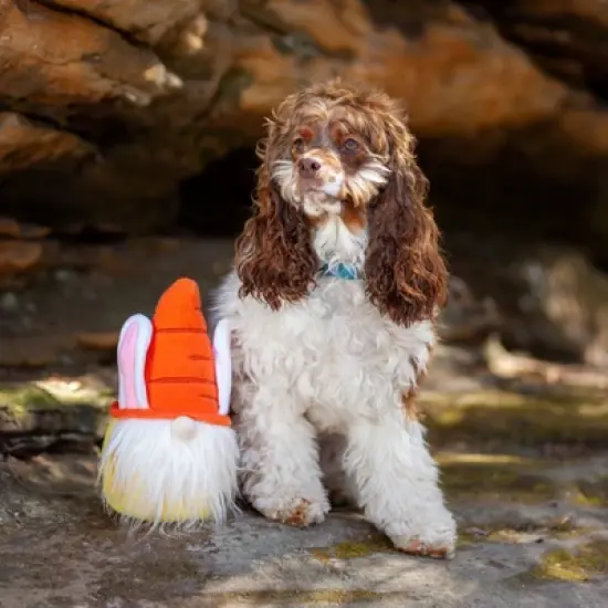 Midlee Easter Bunny Gnome Dog Toy image {5}