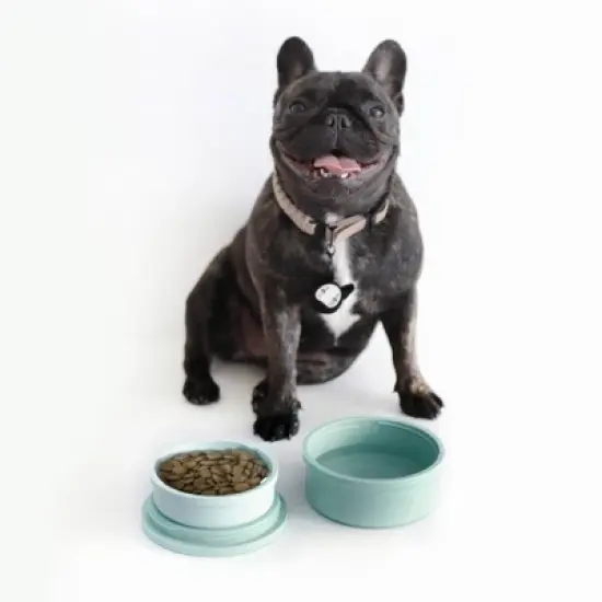 KindTail Portable 2pc Dog Bowl Set  image {11}