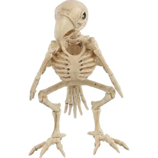 Seasons USA Parrot Skeleton Prop Halloween Decoration - 7.6 in x 7.5 in x 4.6 in - Off-White image {3}