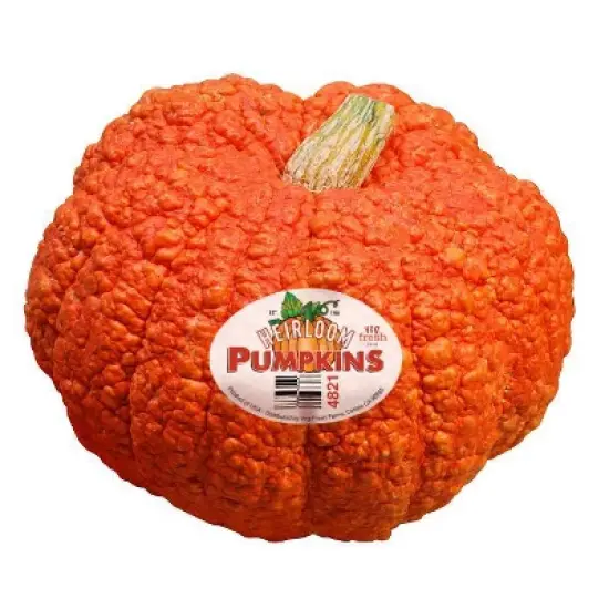 Heirloom Pumpkin - each image {2}