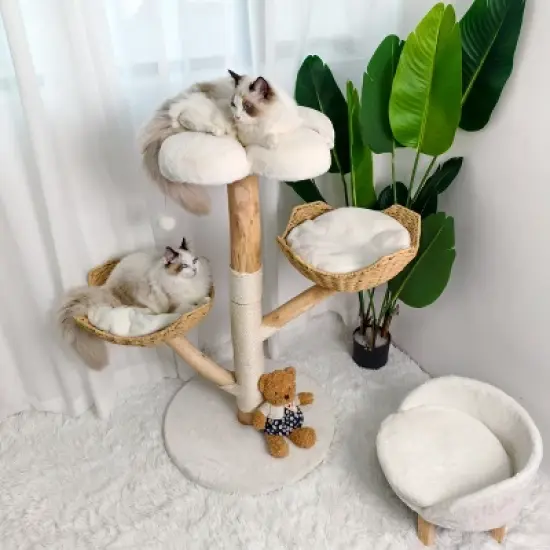 Artloge 2/3Tiers Wooden Cat Climbing Tree Indoor Cat Tree Activity Tower Cozy Kitten Play House with Plush Cushion & Sisal Scratch Post & Dangling Toy image {8}