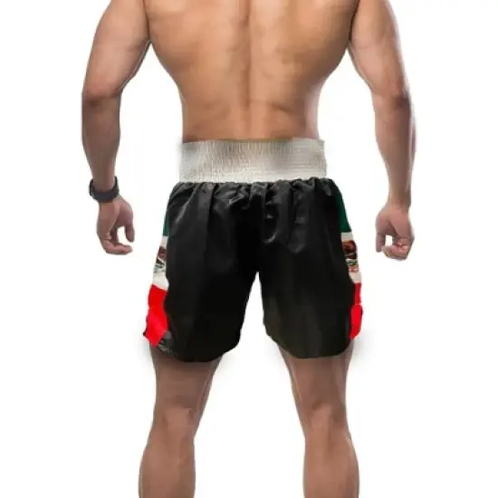 Amber Fight Gear Men's Professional Boxing Shorts &ndash; Ultra Lightweight, Durable &ndash; Ideal for Boxing, MMA, Muay Thai, Kickboxing, Fitness Training. image {13}