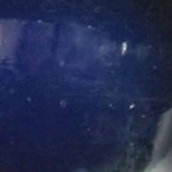 Vickerman Light Satin G50 Christmas light set image {2}