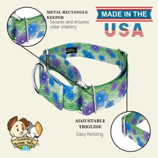 Country Brook Petz HossFit Jr Wide Martingale Dog Collar - Spring Collection image {6}