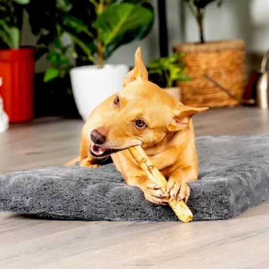 Pet Factory American Beefhide Thin Rolls - 10", 35 Count image {2}