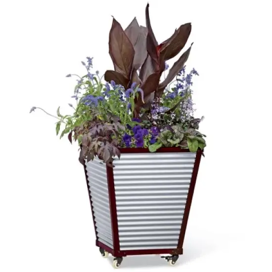 Galvanized Self-Watering Planter Square, Short image {3}