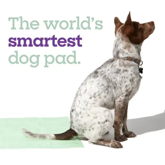 Pet Life Unlimited Health Tracker Dog Pads - 20ct image {4}