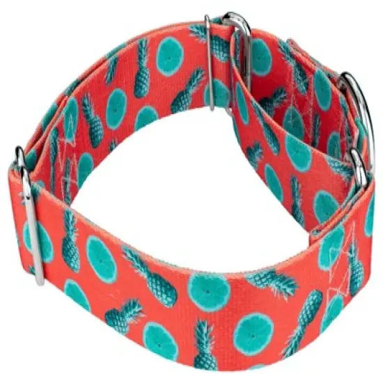 Country Brook Petz 1 1/2 Inch Tropical Tango Martingale Dog Collar image {2}
