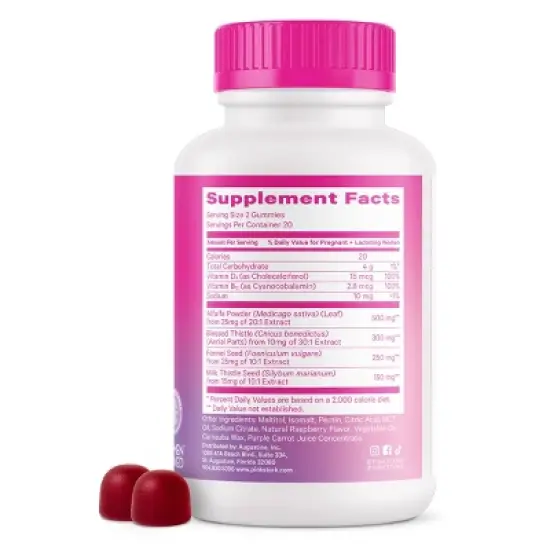 Pink Stork Lactation Dietary Supplement Gummies Raspberry - 40ct image {1}