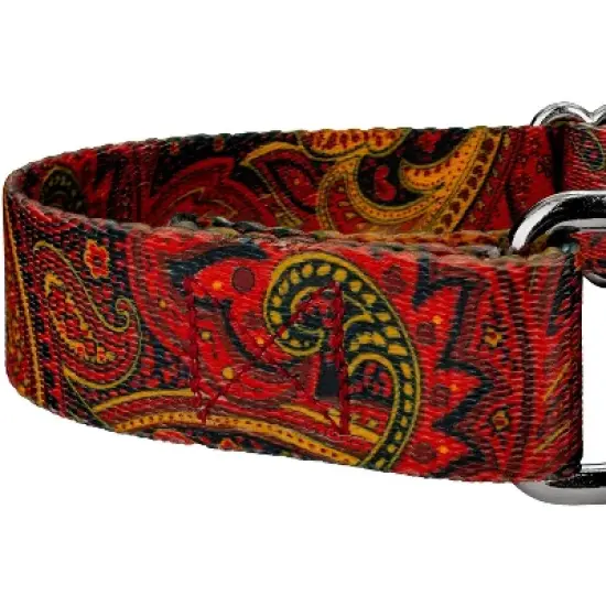 Country Brook Petz Martingale Dog Collar - Paisley Collection image {5}