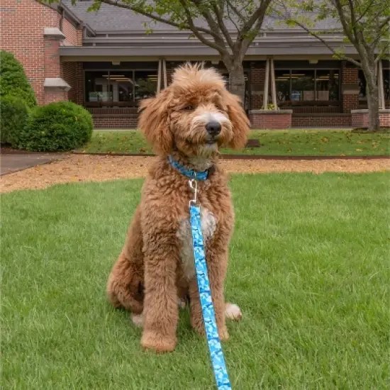 Country Brook Petz Deluxe Dog Collar - Camouflage Collection - Made in The U.S.A. image {1}