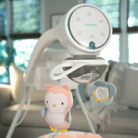 Ingenuity Soothing Baby Swing - Nally image {14}