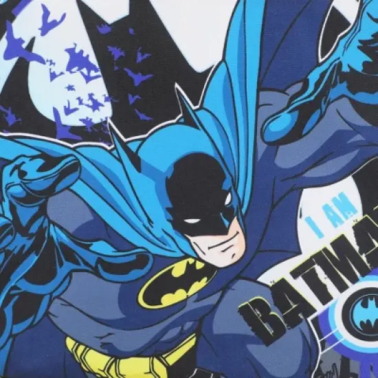 Batman In Action Insulated Lunch Kit image {4}