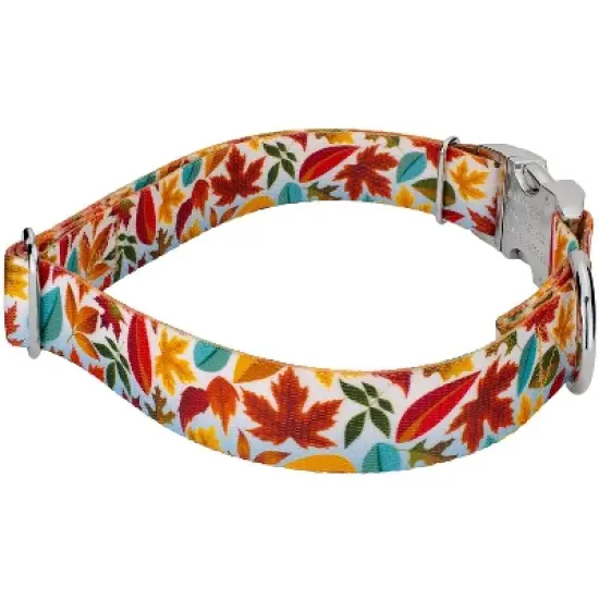 Country Brook Petz Premium Collar and Leash - Awesome Autumn Collection image {2}