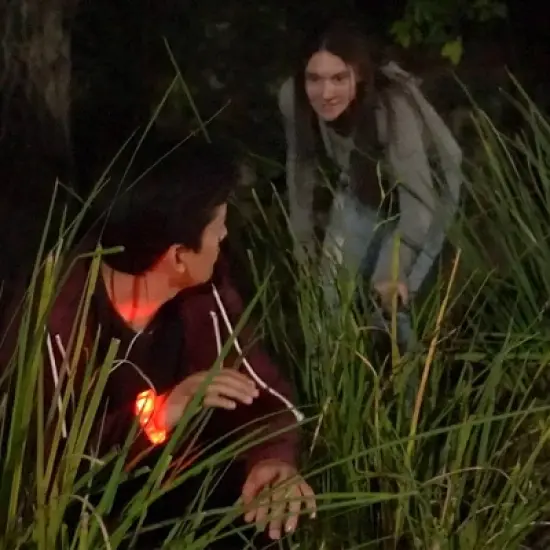 Starlux Games Wizards & Werewolves - 23pc image {8}