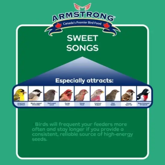 Armstrong Wild Bird Food Royal Jubilee Sweet Songs Suet Cake for Songbirds, 10.6oz (Pack of 3) image {3}